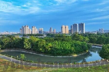 90足球比赛比分-90足球比赛比分，绿茵场上的数字交响乐