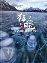 世界杯任意球数据-世界杯任意球数据，精准与艺术的碰撞